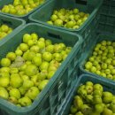 우진송죽마을 이미지