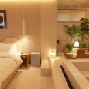 호텔브라운도트 이미지