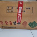 으뜸농장 | 으뜸농장 포기청상추 후기