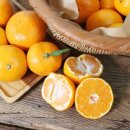 화이트짐 청계점 이미지