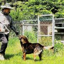 삼형제농장 이미지