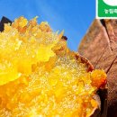 한농수산