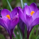 고촌어울림도서관 이미지