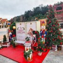 동백민박 | 아너드투어 무박버스 남해여행, 금산보리암 일출/남해독일마을/물건리방조어부림 후기