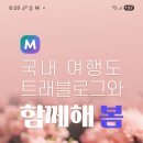 하나이벤트