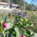 현재농장 이미지