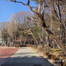 양재근린공원 농구장
