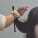 (유)대한교통 | 구디미용실 레이어드펌 잘하는 곳 유트리헤어 한여름 실장님