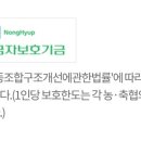 강릉원예농협 이미지