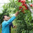 소통농장2 이미지