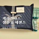 태인기획 | 케라스타즈 샴푸 레지스턴스 방 포스 아키텍트 시몽테르미크 내돈내산 후기