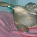 이선영농장 이미지