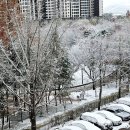 구자동 동물병원 이미지