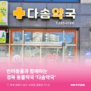 다솜약국 이미지