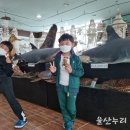 울산해양박물관 이미지