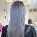 헤어볼하우스 이미지