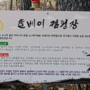 숲 펜션&캠핌장 네이버블로그