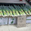 남촌동> 남촌농산물도매시장