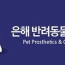 은해보조기 네이버블로그