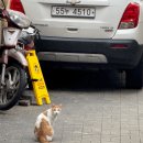 869기 3대대 040208 강두원 이미지