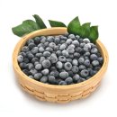 홍가네농장 이미지