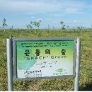 민들레들꽃처럼민박