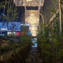 수영식당 | [부산/수영] 수림식당 수영점 내돈내산 후기