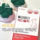 리노브 | 임신준비 임산부 활성엽산 리노브 액티폴릭 내돈내산 2년 복용후기
