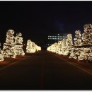 담배인삼공사 이미지