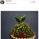 취선 이미지
