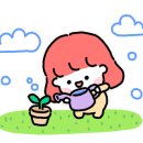 밤나무곡 이미지