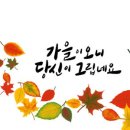 설렙
