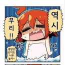 부타 이미지