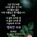 이지님 이미지