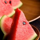 꿀베리하우스 이미지