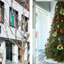 라인엔터테이먼트 이미지