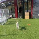 멍문(moon) 이미지