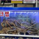 탐나전복