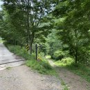 편백세상 | [전북/진안]🌲 피톤치드 가득한 '부귀편백숲산림욕장' 솔직 후기: 아름다운 숲, 하지만 유모차는 비추...