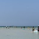 아영목장 이미지