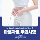 이매 동물병원 | 분당 마운자로, 체중 감량 전 반드시 알아야 할 핵심 정보