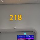 921 | 리스본 신혼여행 대한항공 왕복 비지니스석 기내식/시설 후기(KE921)