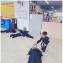 불사조 체육관 이미지