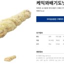 케익타운 이미지