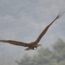 고령식당 이미지