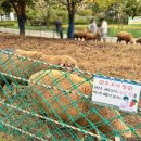늘솔길근린공원(4호) 공원화장실 네이버블로그