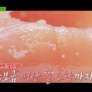 (유)365푸드