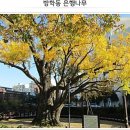 도봉-도봉-서울도봉-2289 이미지