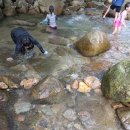 대천천1 | 부산 대천천 계곡 25년 8월2일 방문후기 주차 및 꿀팁