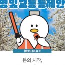 목련숲